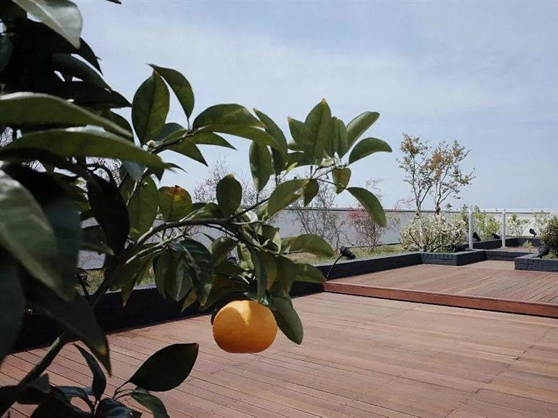 Hi Residences Jeju Exterior photo